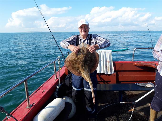 15 lb Undulate Ray by Paul Green