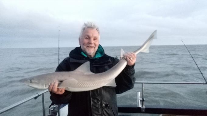 2 oz Smooth-hound by Unknown