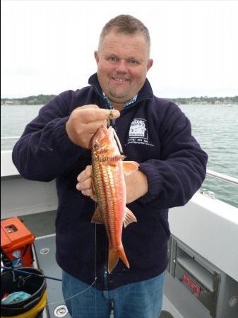 1 lb 4 oz Red Mullet by Andy Cumming
