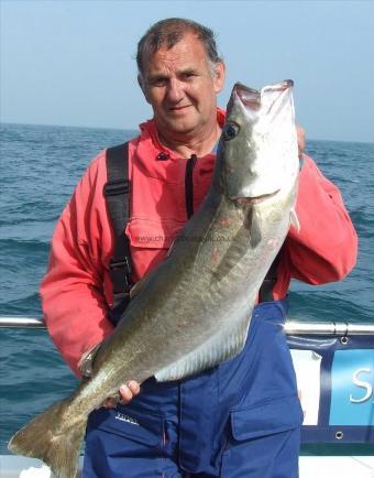 16 lb 8 oz Pollock by Steve Pine