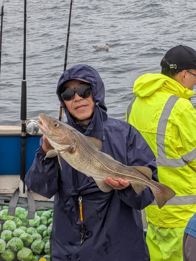 4 lb 3 oz Cod by Unknown