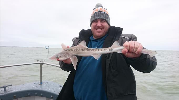 2 lb 3 oz Starry Smooth-hound by Big Phil