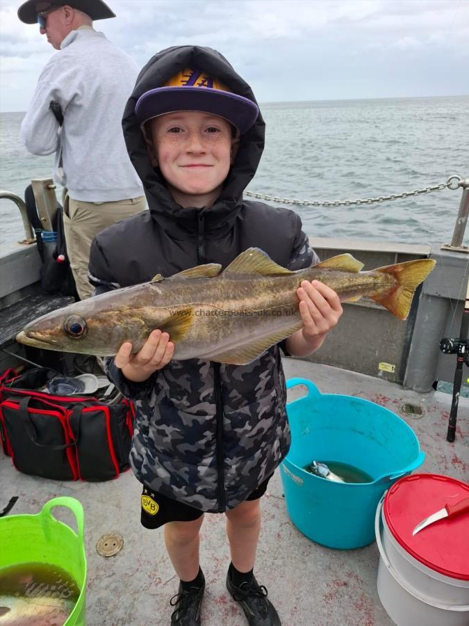 4 lb Pollock by Unknown