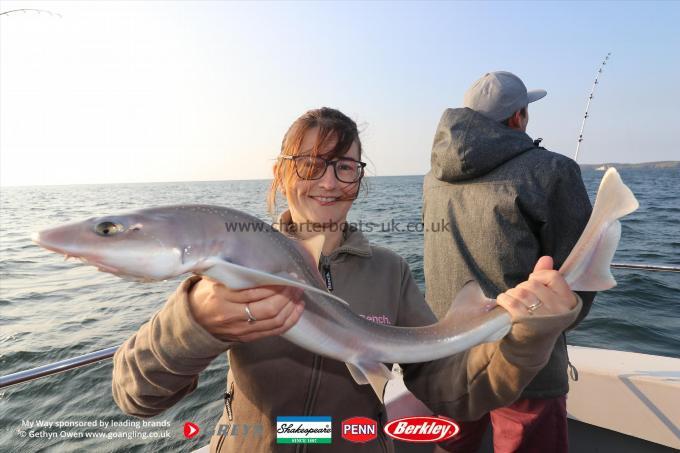 6 lb Starry Smooth-hound by Lisa