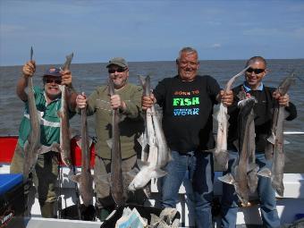 5 lb Starry Smooth-hound by Eric,Dave,Carl and Brian