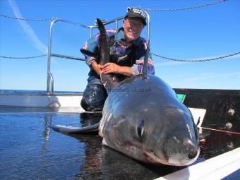 140 Kg Porbeagle by peter kleighn netherlands