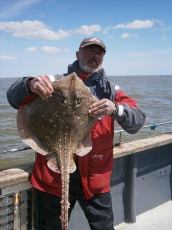 13 lb Thornback Ray by Dave Kemp T S A