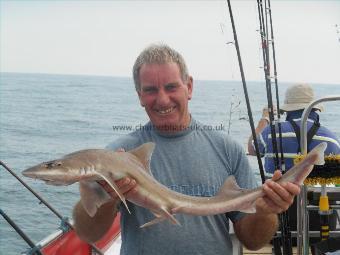 6 lb Starry Smooth-hound by David Smith