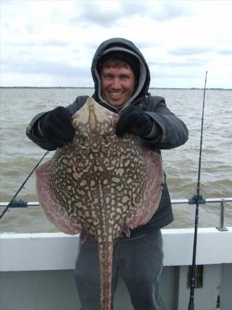 11 lb Thornback Ray by ?