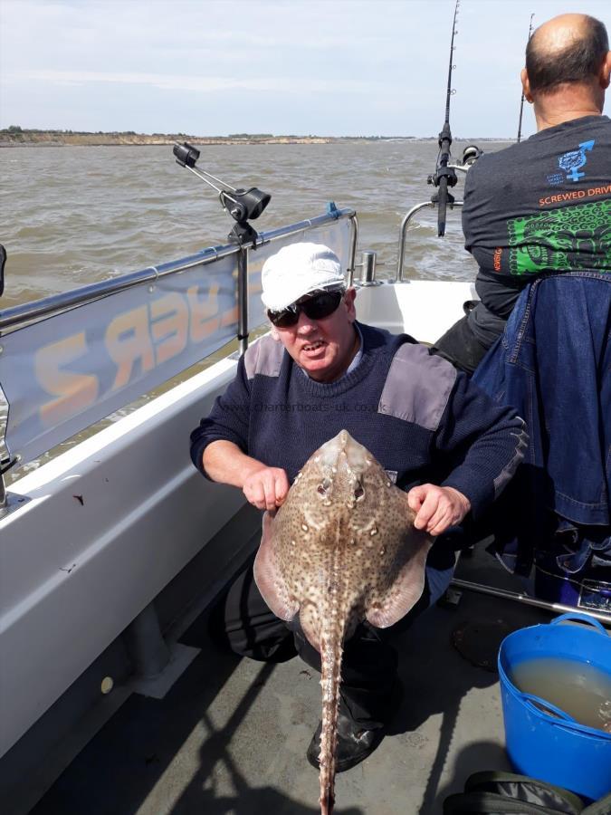 5 lb Thornback Ray by Glen