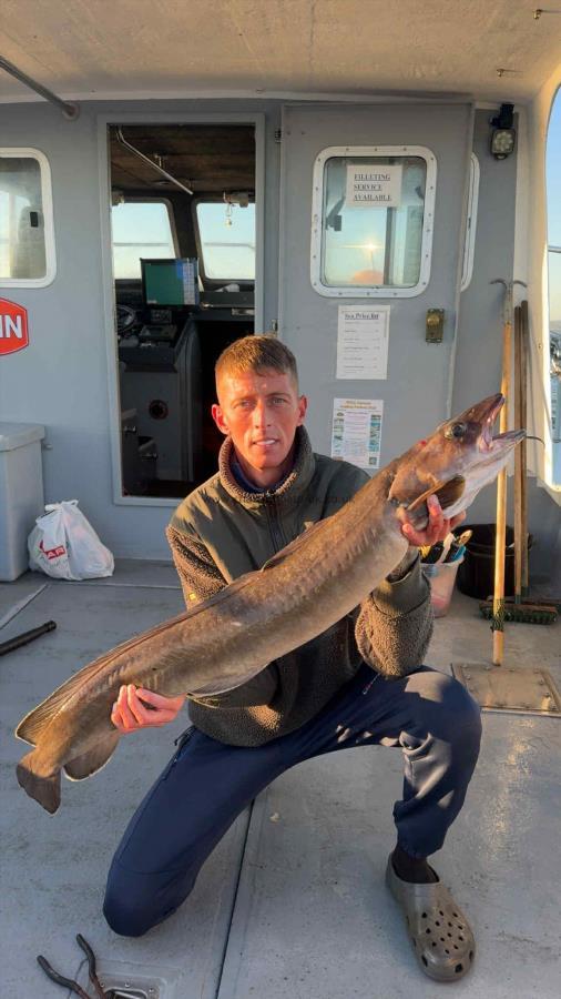 13 lb 4 oz Ling by Unknown