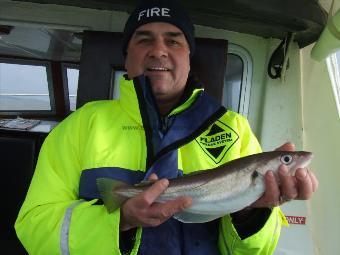 1 lb 11 oz Whiting by paul