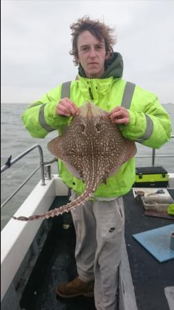 8 lb 12 oz Thornback Ray by Bob Marshall