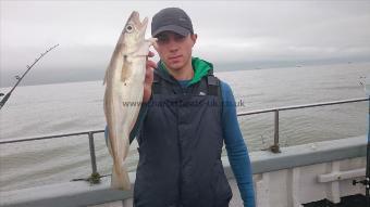 3 lb Whiting by Dan from Kent