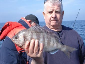 2 lb 2 oz Black Sea Bream by Jack