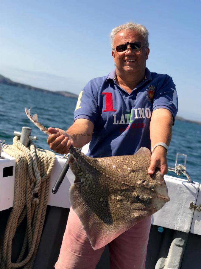 6 lb Thornback Ray by Unknown