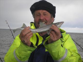 6 oz Starry Smooth-hound by Derek Mole