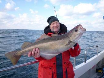 15 lb 8 oz Pollock by Mark Hammond