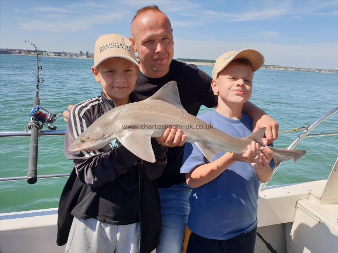 8 lb Starry Smooth-hound by Bob Marshall