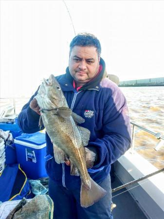 5 lb 3 oz Cod by Unknown