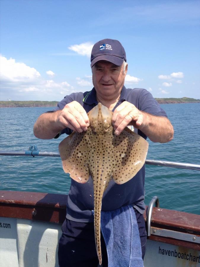 4 lb Spotted Ray by Keith