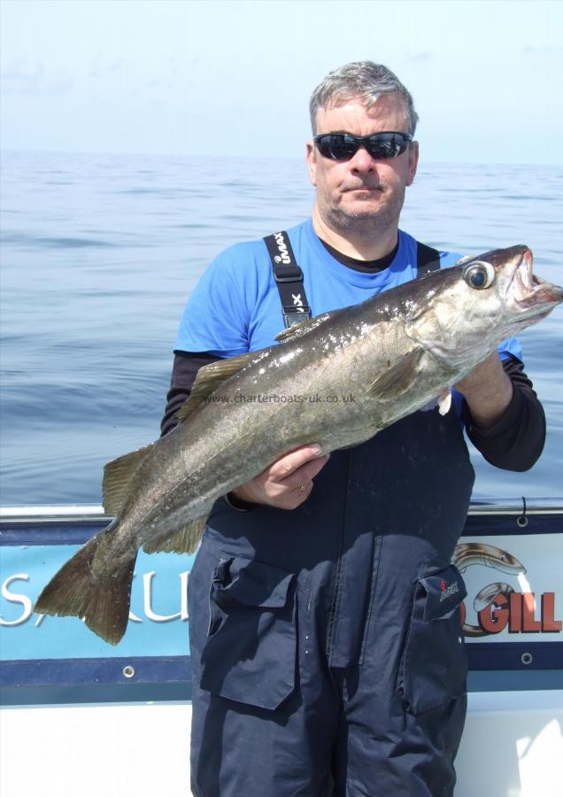 12 lb 8 oz Pollock by Keith Williams