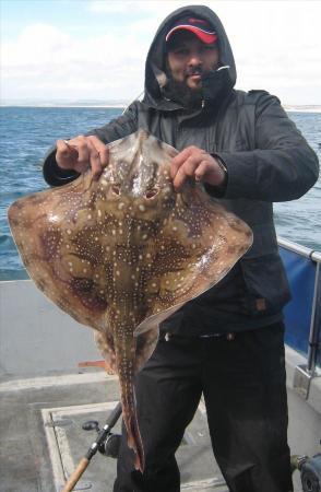 10 lb Undulate Ray by Ali