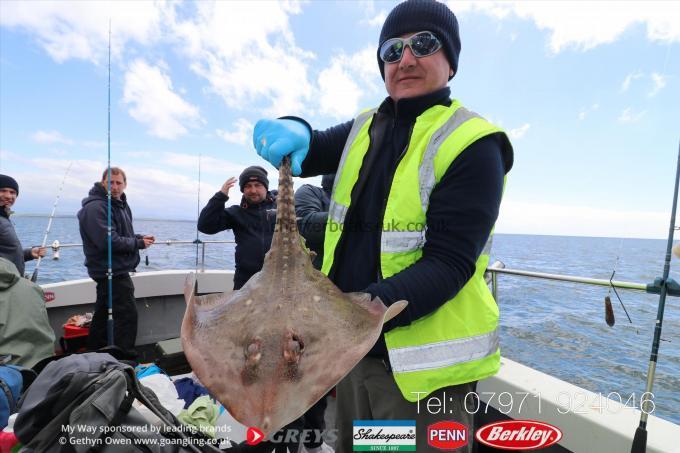 8 lb Thornback Ray by Jack