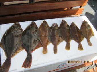 2 lb 5 oz Flounder by Mixture of Flounder and Dabs