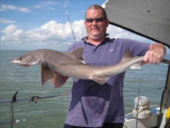 12 lb 10 oz Smooth-hound (Common) by Stu