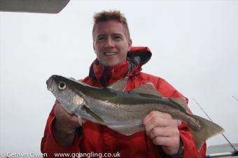 3 lb Pollock by Stephen