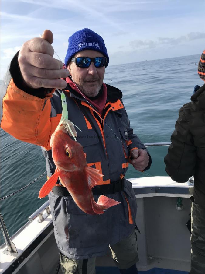 1 lb 7 oz Red Gurnard by Keith