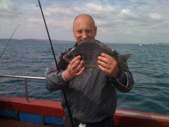 3 lb Black Sea Bream by Lithuanian Joe aka 'Golden Bol£*&ks'