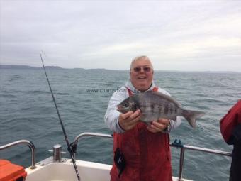 3 lb Black Sea Bream by Roy Shipway