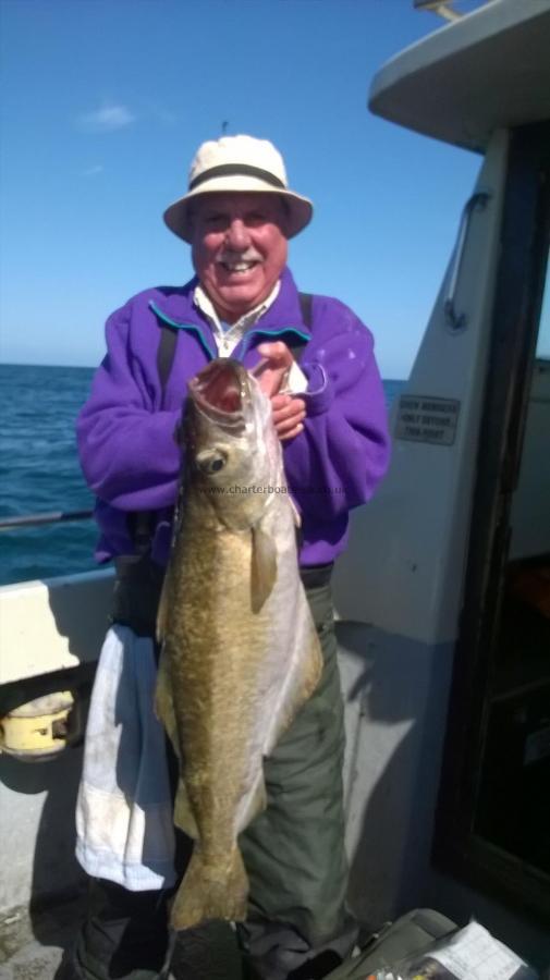 16 lb 7 oz Pollock by Davy Commins