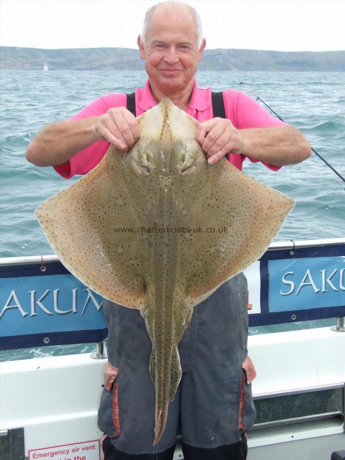17 lb Blonde Ray by Robin Amor