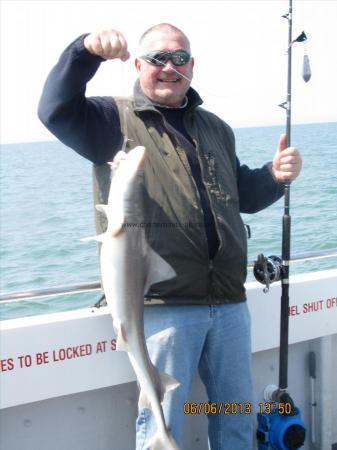 17 lb Smooth-hound (Common) by Unknown