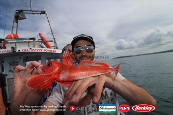 12 oz Red Gurnard by Omar