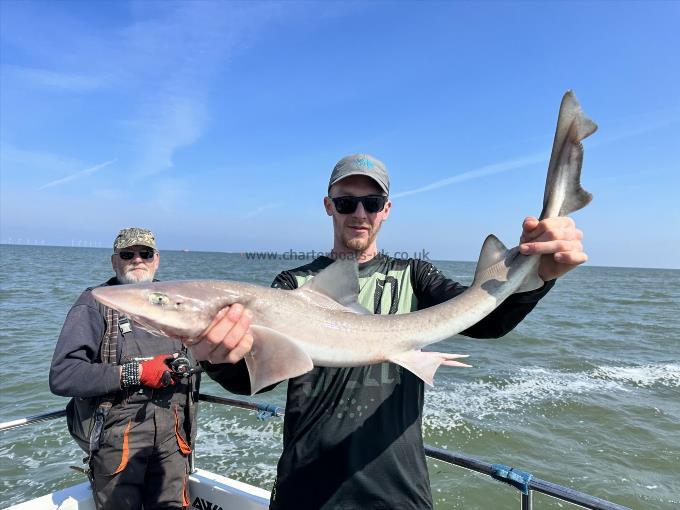 6 Kg Starry Smooth-hound by Ray Crowe