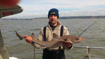13 lb 8 oz Starry Smooth-hound by olly hughes