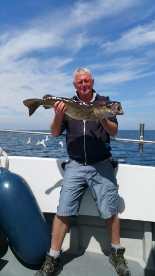 9 lb Pollock by David Lumley