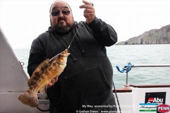 2 lb Ballan Wrasse by Jack