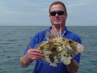 5 lb John Dory by Andy Hunt