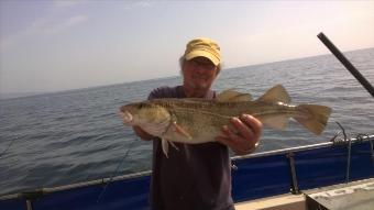 6 lb Cod by Stephen Wake