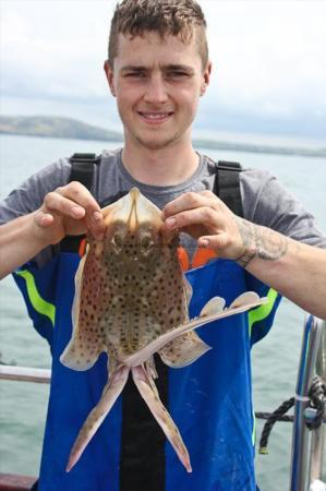 1 lb 14 oz Spotted Ray by Sean