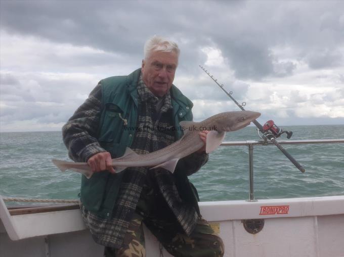 7 lb Smooth-hound by Terry of Kent