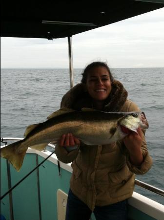 9 lb 14 oz Pollock by Unknown