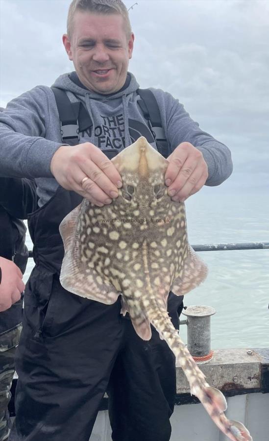 5 lb Thornback Ray by Unknown