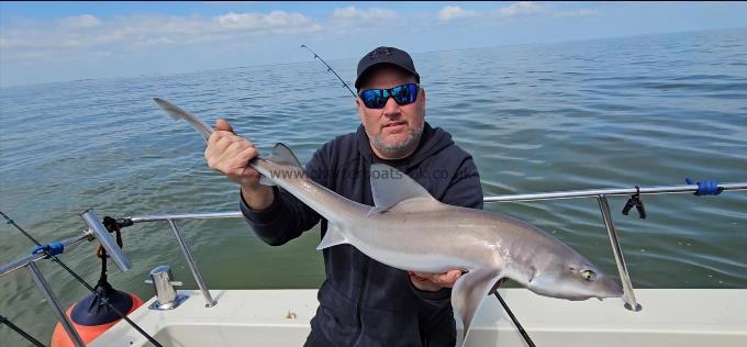 9 lb Smooth-hound by Steve