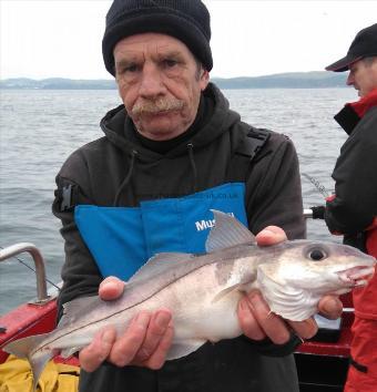 2 lb 1 oz Haddock by ian walker